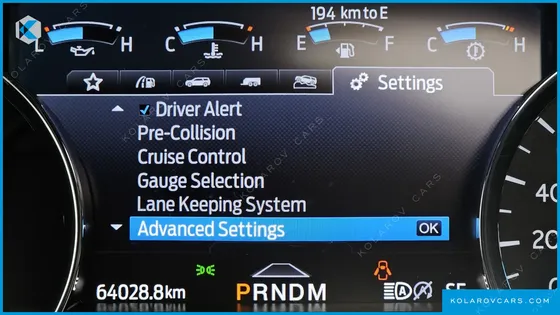 FORD EXPEDITION PLATINUM 4WD