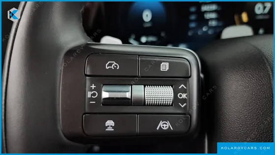 HYUNDAI PALISADE GASOLINE 2.5T 4WD 9-SEATER