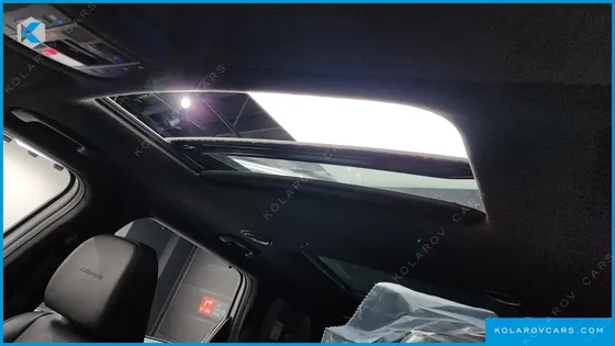 HYUNDAI PALISADE GASOLINE 2.5T 4WD 9-SEATER