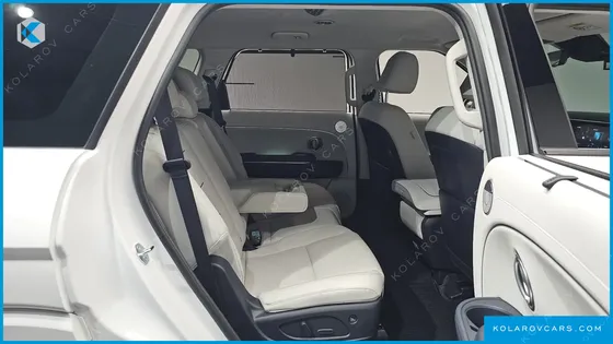 HYUNDAI PALISADE HEV 2.5T 4WD 9-SEATER