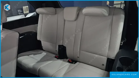 HYUNDAI PALISADE HEV 2.5T 4WD 9-SEATER