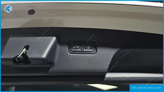 HYUNDAI PALISADE HEV 2.5T 4WD 9-SEATER