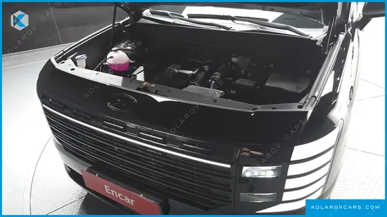 HYUNDAI PALISADE GASOLINE 2.5T 4WD 9-SEATER