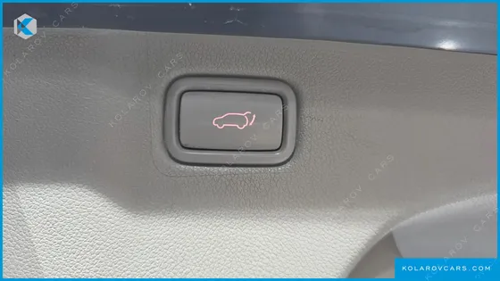 KIA CARNIVAL 7-SEATER LIMOUSINE