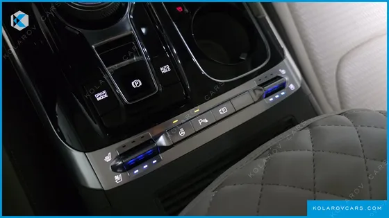 KIA CARNIVAL GASOLINE 9-SEATER HI-LIMOUSINE