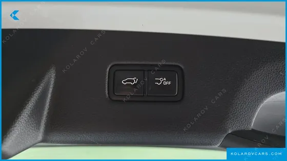 KIA CARNIVAL 9-SEATER NOBLESSE