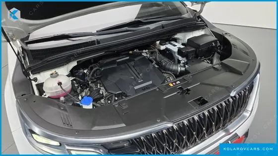KIA CARNIVAL GASOLINE 9-SEATER SIGNATURE
