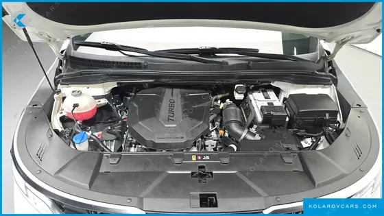 KIA CARNIVAL 7-SEATER HI-LIMOUSINE