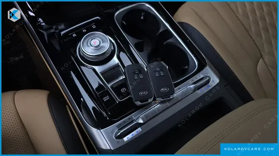 KIA CARNIVAL 9-SEATER HI-LIMOUSINE(SPECIAL VEHICLE)