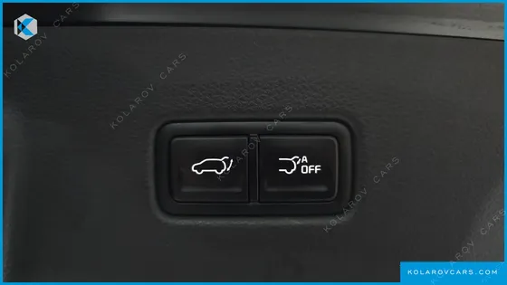 KIA CARNIVAL 9-SEATER HI-LIMOUSINE(SPECIAL VEHICLE)