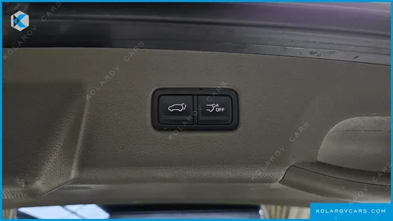 KIA CARNIVAL GASOLINE 9-SEATER HI-LIMOUSINE