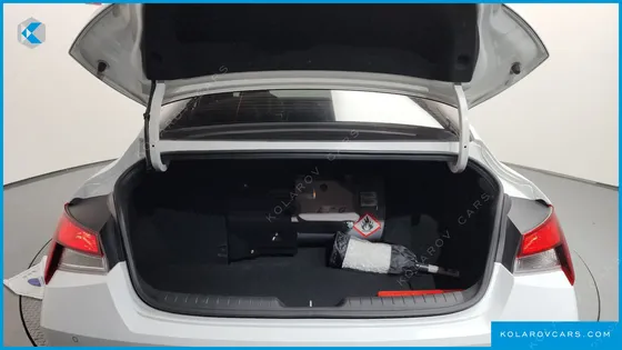 HYUNDAI ELANTRA (AVANTE) 1.6 LPI (RENTAL CAR)