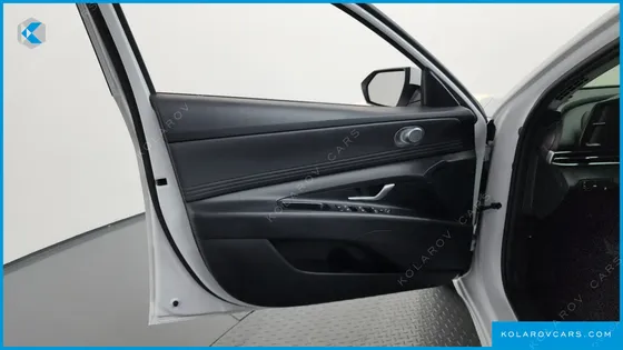 HYUNDAI ELANTRA (AVANTE) 1.6 LPI (RENTAL CAR)
