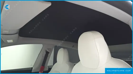 TESLA MODEL Y RWD