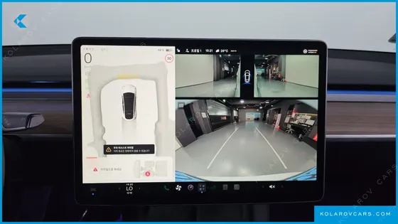 TESLA MODEL Y RWD