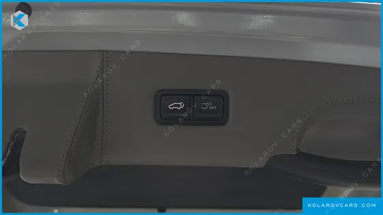 KIA CARNIVAL GASOLINE 9-SEATER HI LIMOUSINE (7-SEATER LIMOUSINE(SPECIAL VEHICLE)