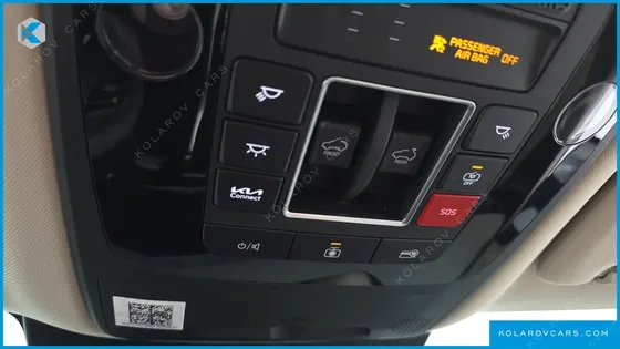 KIA CARNIVAL GASOLINE 9-SEATER GRAVITY