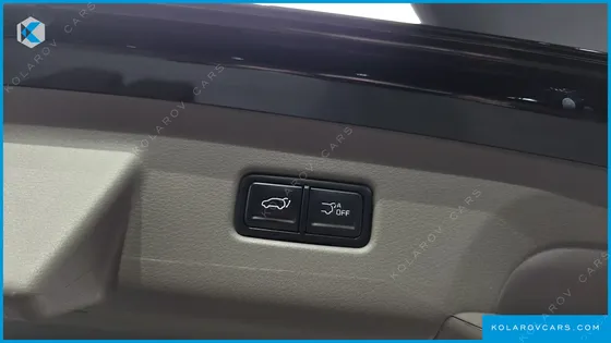 KIA CARNIVAL GASOLINE 9-SEATER GRAVITY