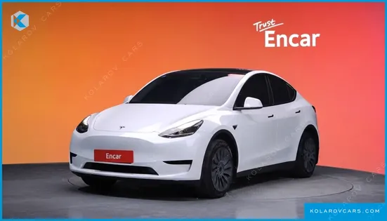 TESLA MODEL Y RWD