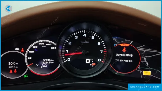 PORSCHE PANAMERA 2.9 AWD PLATINUM EDITION