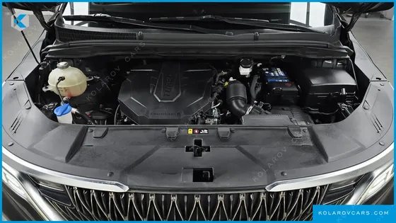 KIA CARNIVAL 9-SEATER NOBLESSE
