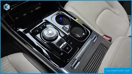 KIA CARNIVAL GASOLINE 9-SEATER HI-LIMOUSINE