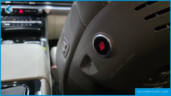 KIA CARNIVAL GASOLINE 9-SEATER HI-LIMOUSINE