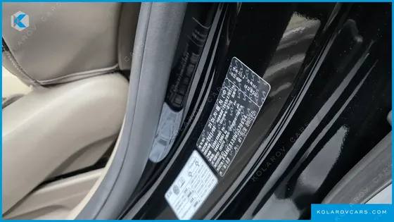 KIA CARNIVAL GASOLINE 9-SEATER HI-LIMOUSINE