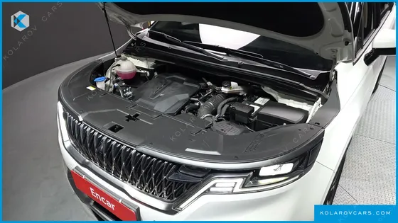 KIA CARNIVAL GASOLINE 9-SEATER SIGNATURE