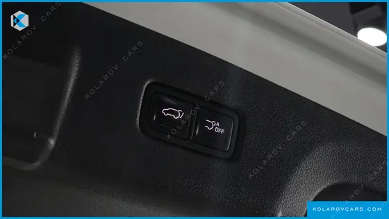 KIA CARNIVAL GASOLINE 9-SEATER SIGNATURE