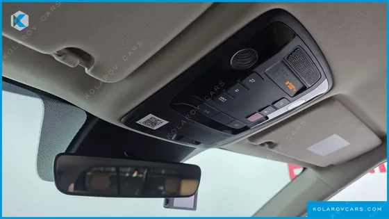 KIA CARNIVAL 9-SEATER NOBLESSE