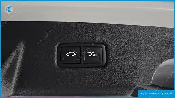 KIA CARNIVAL GASOLINE 9-SEATER SIGNATURE