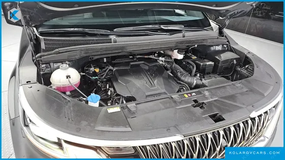 KIA CARNIVAL GASOLINE 4-SEATER HI-LIMOUSINE (SPECIAL)