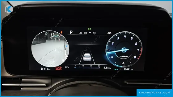 KIA CARNIVAL GASOLINE 4-SEATER HI-LIMOUSINE (SPECIAL)