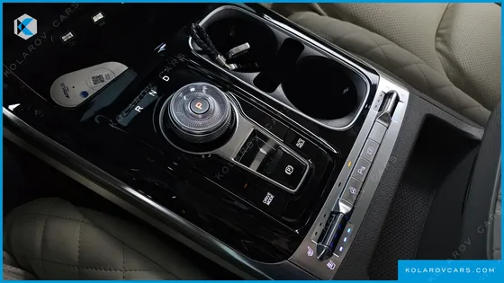 KIA CARNIVAL GASOLINE 4-SEATER HI-LIMOUSINE (SPECIAL)