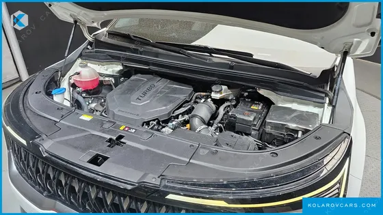 KIA CARNIVAL 9-SEATER NOBLESSE