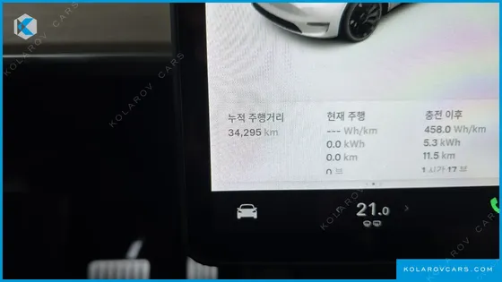 TESLA MODEL Y PERFORMANCE AWD