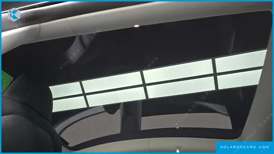 TESLA MODEL Y PERFORMANCE AWD