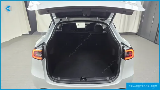 TESLA MODEL Y PERFORMANCE AWD