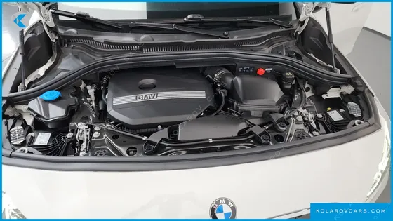BMW 2 SERIES 220I ADVANTAGE