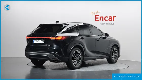 LEXUS RX LUXURY