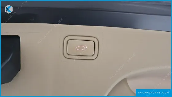 KIA CARNIVAL 9-SEATER HI-LIMOUSINE
