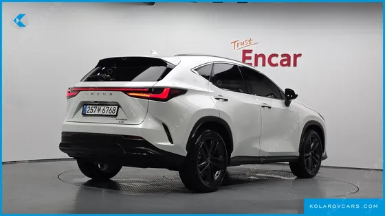 LEXUS NX PREMIUM