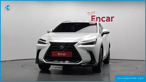 LEXUS NX PREMIUM