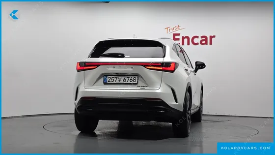 LEXUS NX PREMIUM