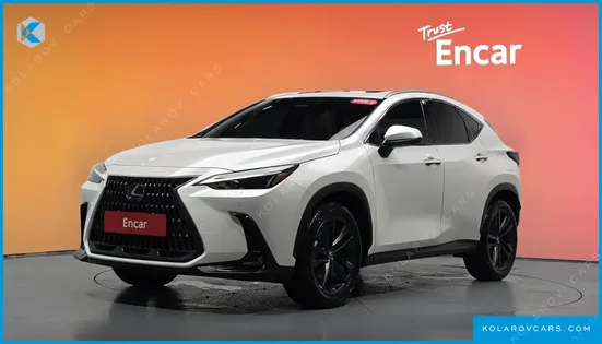 LEXUS NX PREMIUM