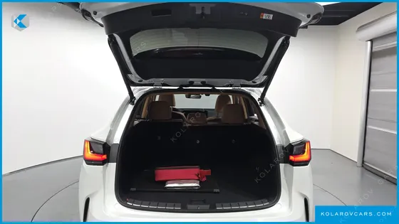 LEXUS NX PREMIUM