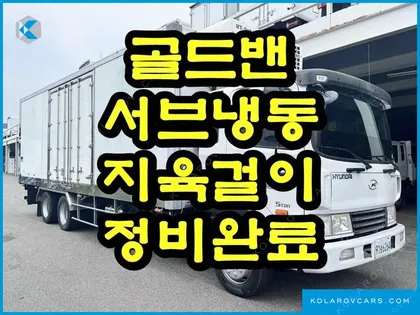 HYUNDAI MEGA TRUCK GOLD