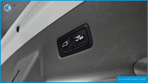 KIA CARNIVAL 9-SEATER HI-LIMOUSINE