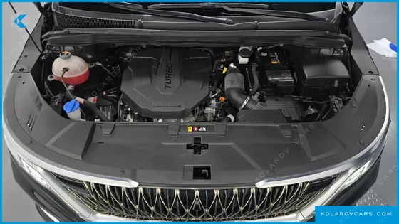 KIA CARNIVAL 9-SEATER HI-LIMOUSINE